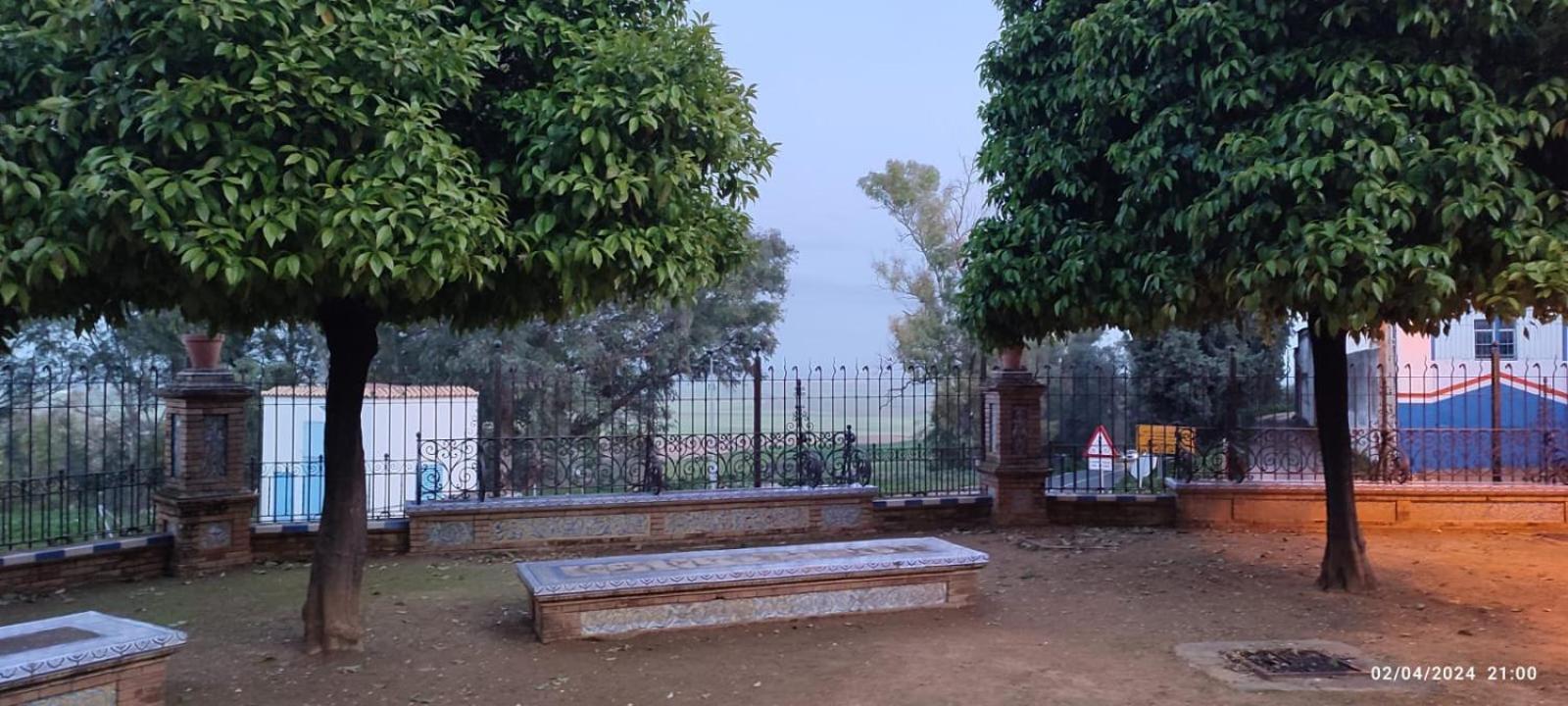 Casa Manuel Alquiler De Habitaciones En Casa Compartida Carmona  Dış mekan fotoğraf